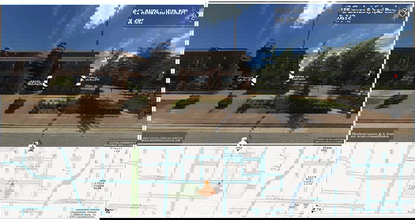 The Street level view of the Map visual