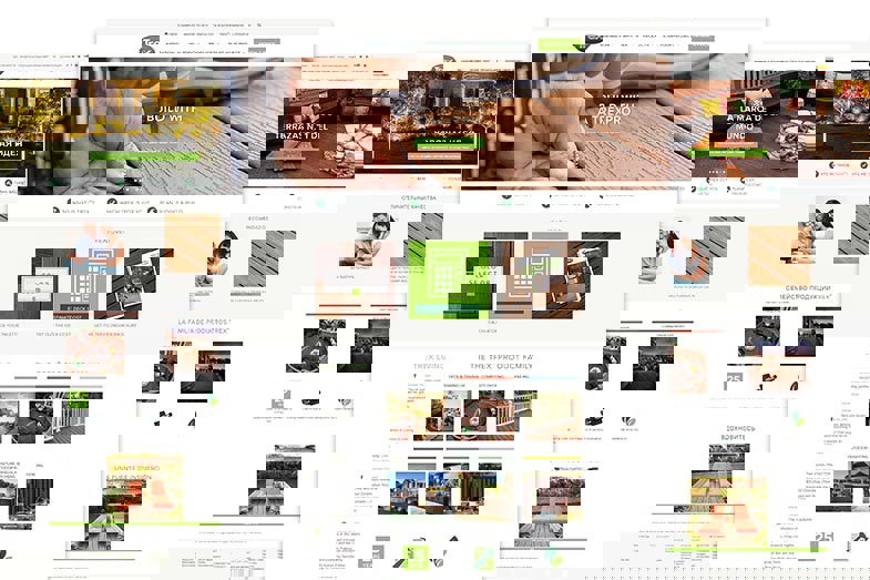 Trex desktop website design presentation