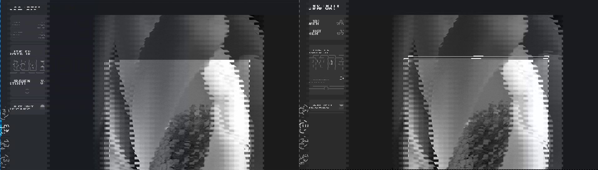 how-to-crop-and-optimize-images-for-web.jpg