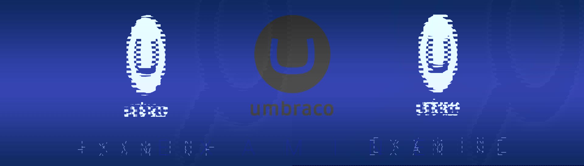 indexing-custom-data-with-umbraco-examine.jpg
